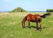 Ивано-Франковская область, Галицкий район, село Крылос
. Фото  3