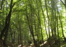 miasto Lwów, Lwów region. Photo  4