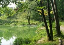 miasto Lwów, Lwów region. Photo  5