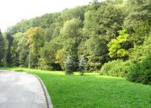 miasto Lwów, Lwów region. Photo  6