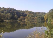 powiat wioska Vereshchytsia, Jaworowski Obwodu Lwowskiego. Photo  5
