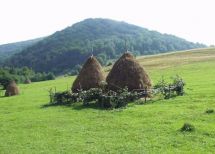 borin town, Turka district, Lviv region. Photo  2