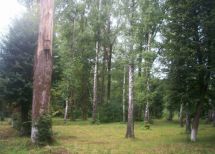 город Борислав, Дрогобычский район, Львовская область . Фото  4