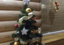 Закарпатська область Тячівський район село Теребля вулиця Центральна10. Фото  8