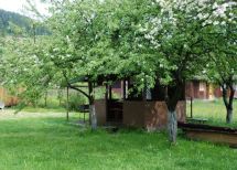 Львовская область, Сколевский район, село Гребенов
. Фото  2