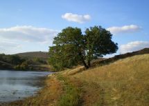 село городского типа Ивано-Франково, Яворивского района Львовской области. Фото  4