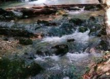 АР Крым, село Генеральское, река Улу-Узень
. Фото  4