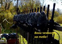 Закарпацька обл.Тячівський р-н.с.Бедевля. Фото  9