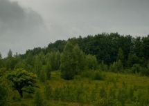 с. Шешори, Косівський р-н., Івано-Франківська обл. Фото  2