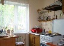 21 Shevchenko st, town Slavske, Skole discrit, Lviv region, Ukraine(300 m from center and station). Photo  4