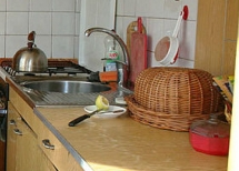 3 Mazepa st, Skole, Skole disrict, Lviv region, Ukraine. Photo  2