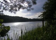 село Ясенево, Бродовский район, Львовская область 
. Фото  2
